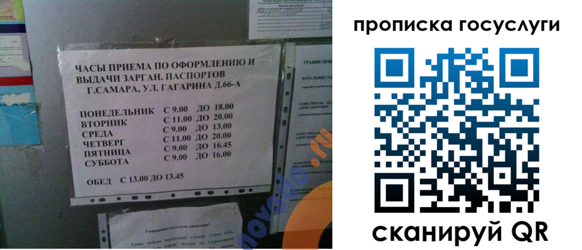 купить прописку в Ленинградской области